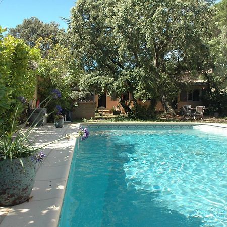 Ferienwohnung La Vigne Et L'Olivier Villeneuve-lès-Avignon Exterior foto