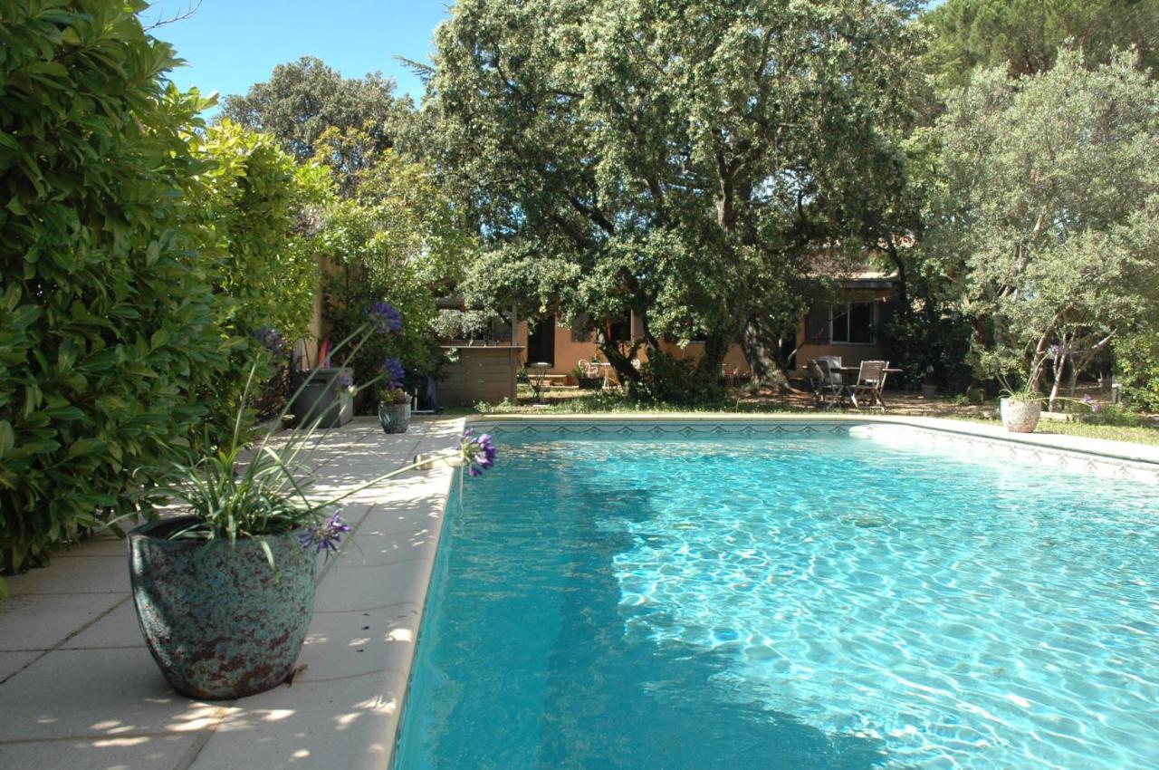 Ferienwohnung La Vigne Et L'Olivier Villeneuve-lès-Avignon Exterior foto