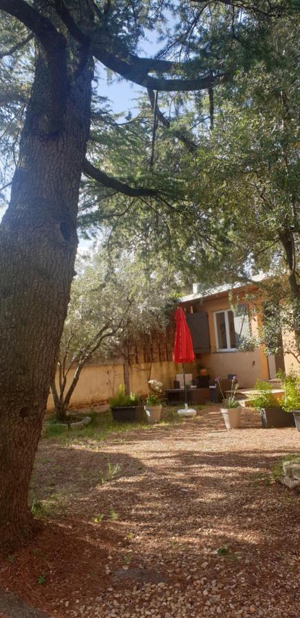 Ferienwohnung La Vigne Et L'Olivier Villeneuve-lès-Avignon Exterior foto