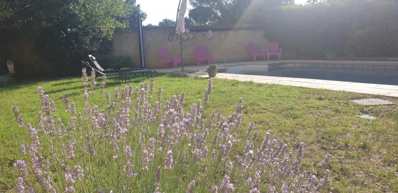 Ferienwohnung La Vigne Et L'Olivier Villeneuve-lès-Avignon Exterior foto